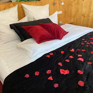 3* Hotel Wilder Mann